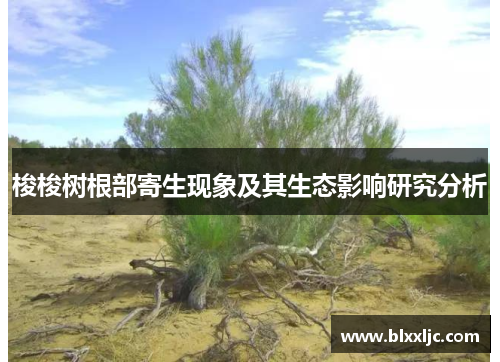 梭梭树根部寄生现象及其生态影响研究分析
