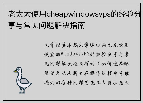 老太太使用cheapwindowsvps的经验分享与常见问题解决指南